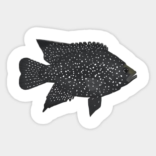 Black Diamond Cichlid Sticker